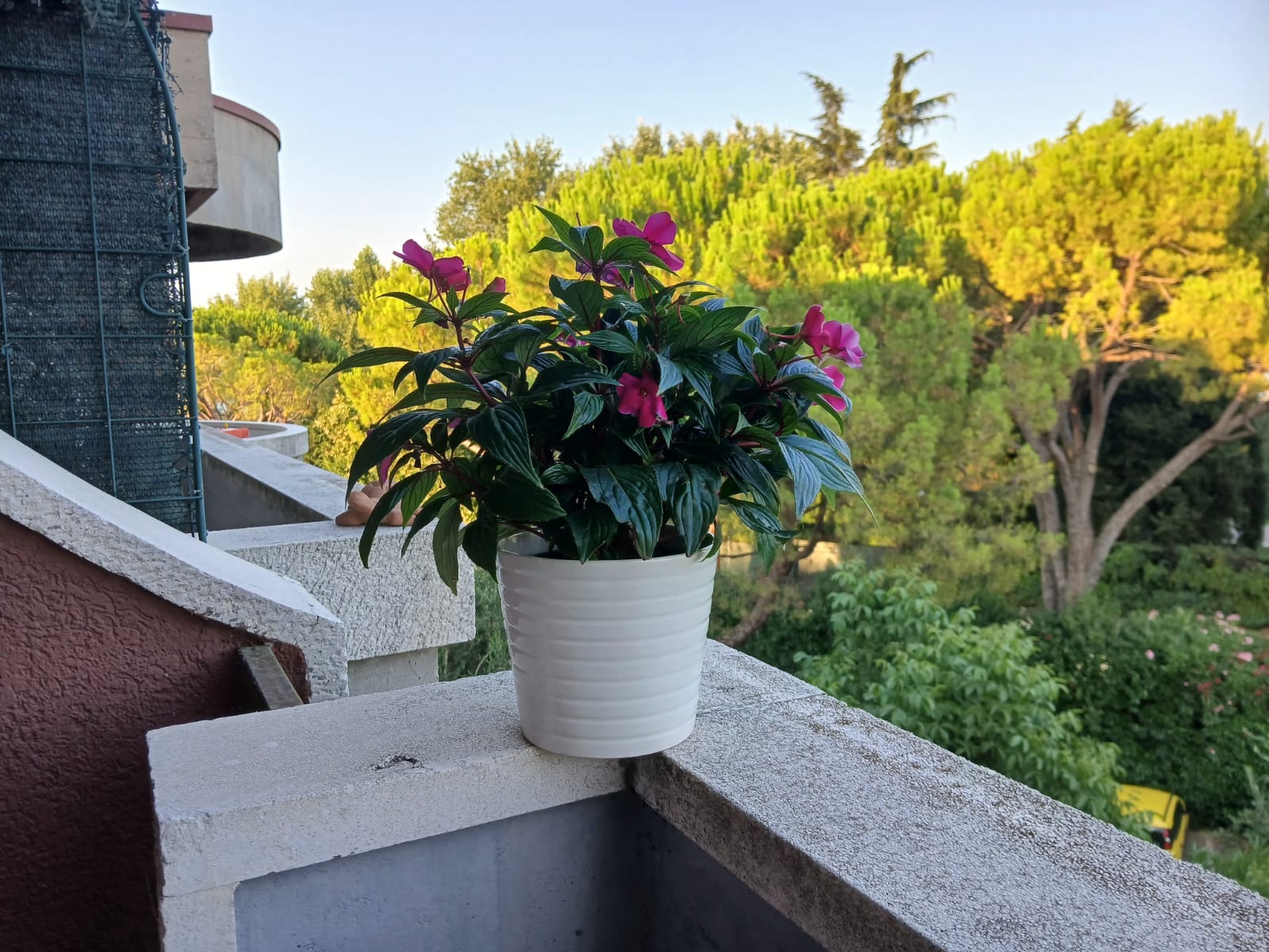Appartamento - 